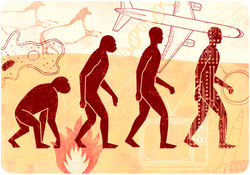 Falsehoods of Creationism